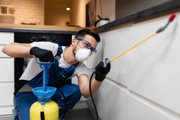 Trusted Coldwater, MI Pest Control Experts